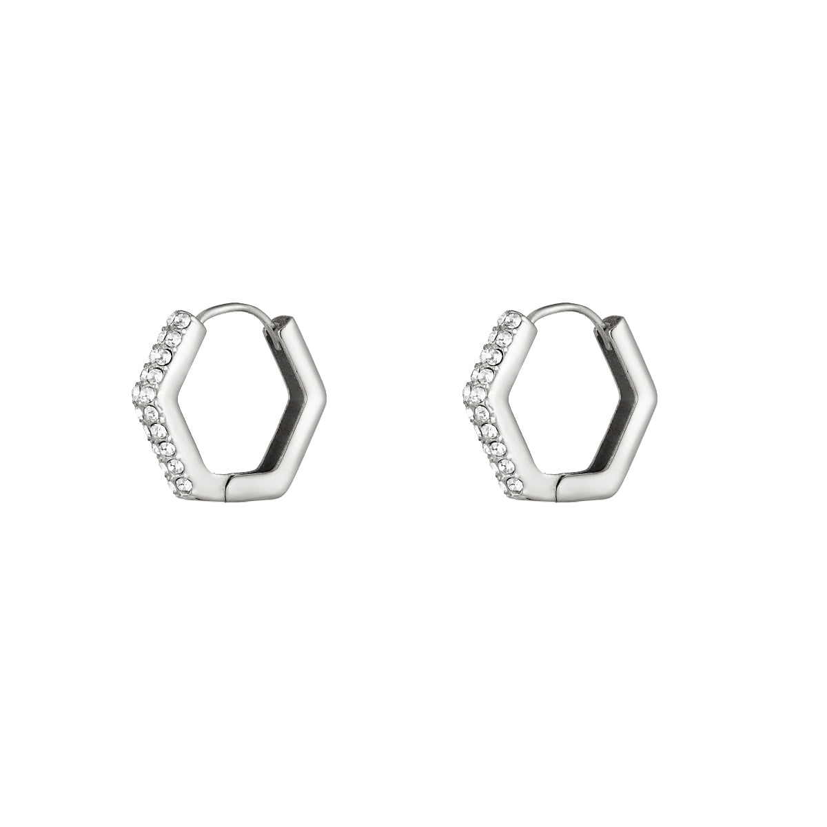 Dames Oorbel Zilverkleurig Stainless Steel met Zirkonium Steentjes 2 Cm Lori